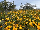 photo thumbnail #9