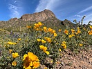 photo thumbnail #10