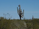 photo thumbnail #6