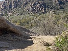 photo thumbnail #5