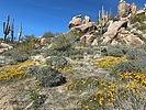photo thumbnail #4