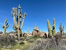 photo thumbnail #12