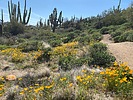 photo thumbnail #13