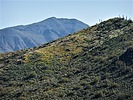 2023-03-13 :3: CCRP 6 Trail Loop :: LosDosSloFolks