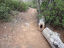 photo thumbnail #7