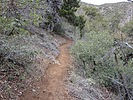 photo thumbnail #5