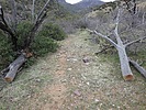 photo thumbnail #2