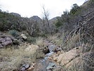 photo thumbnail #6