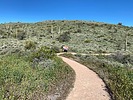 photo thumbnail #5
