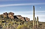 photo thumbnail #5