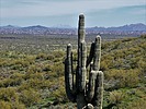 photo thumbnail #13