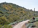 photo thumbnail #8