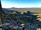 photo thumbnail #2
