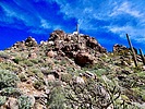photo thumbnail #7