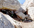 2023-03-12 :2: Quartz Peak Trail - Sierra Estrella :: FLYING_FLIVER