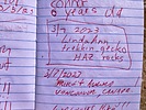 2023-03-12 :2: Quartz Peak Trail - Sierra Estrella :: FLYING_FLIVER