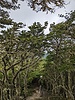 photo thumbnail #12