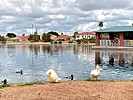 photo thumbnail #6