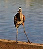photo thumbnail #14