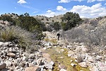 photo thumbnail #15