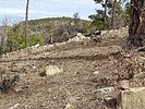 photo thumbnail #7