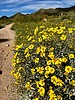 photo thumbnail #12