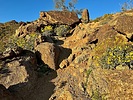 recent photo