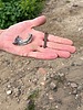 photo thumbnail #12