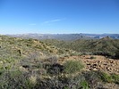 photo thumbnail #3