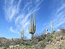 photo thumbnail #13