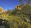 2023-03-17 :1: Idaho Trailhead to Cyclops :: Yoder