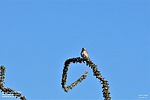 2023-03-17 :1: Idaho Trailhead to Cyclops :: Yoder