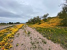 photo thumbnail #9