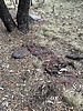 photo thumbnail #9