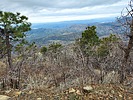 2023-03-20 :2: Mount Ord from Slate Creek TH :: DixieFlyer