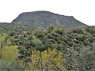2023-03-20 :3: Trail 1533 Loop TNF :: LosDosSloFolks