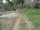 photo thumbnail #7
