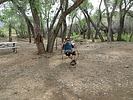 photo thumbnail #3