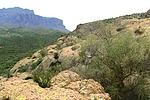 photo thumbnail #13