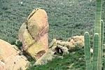 photo thumbnail #15