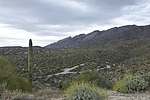 photo thumbnail #15
