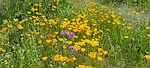 photo thumbnail #8