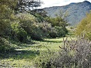photo thumbnail #12