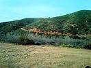 photo thumbnail #9
