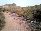 photo thumbnail #15