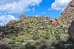 photo thumbnail #6