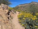 photo thumbnail #5