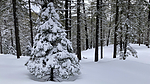 photo thumbnail #5