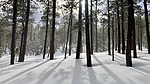 photo thumbnail #15