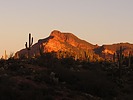 photo thumbnail #1